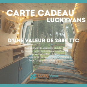 Carte Cadeau Lucky Vans 288e